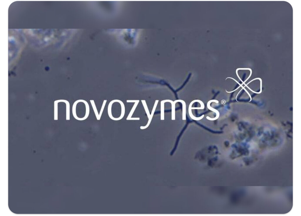 Ximilar collaborated with Novozymes on an award-winning app that identifies filament types in biological wastewater.