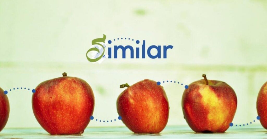 Image Similarity Search by Ximilar